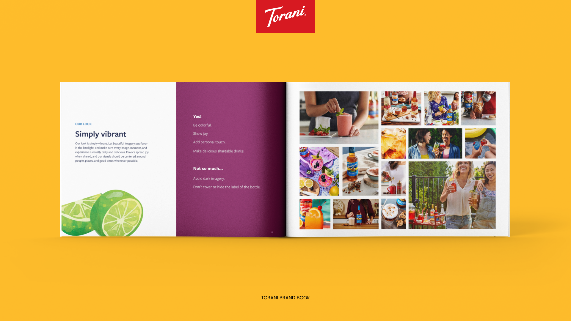 TORANI-brand-book-look